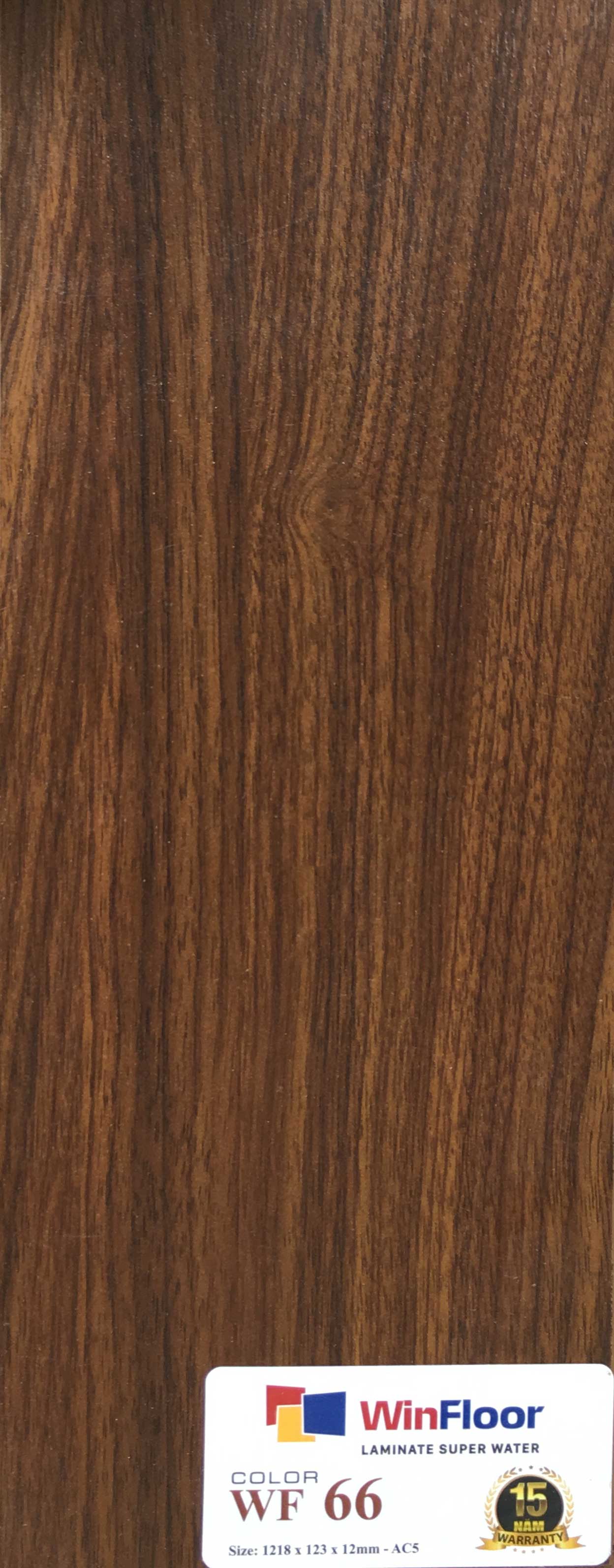 WinFloor-WF-66