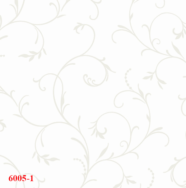 6005-1