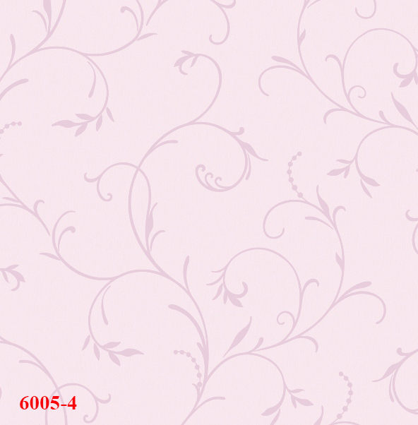 6005-4