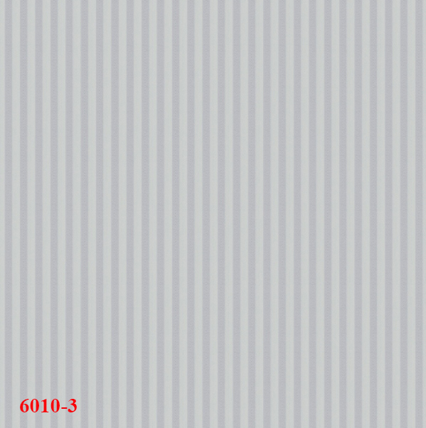 6010-3