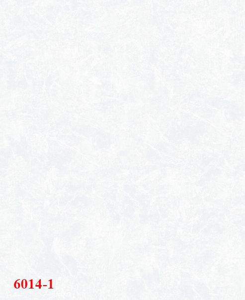 6014-1